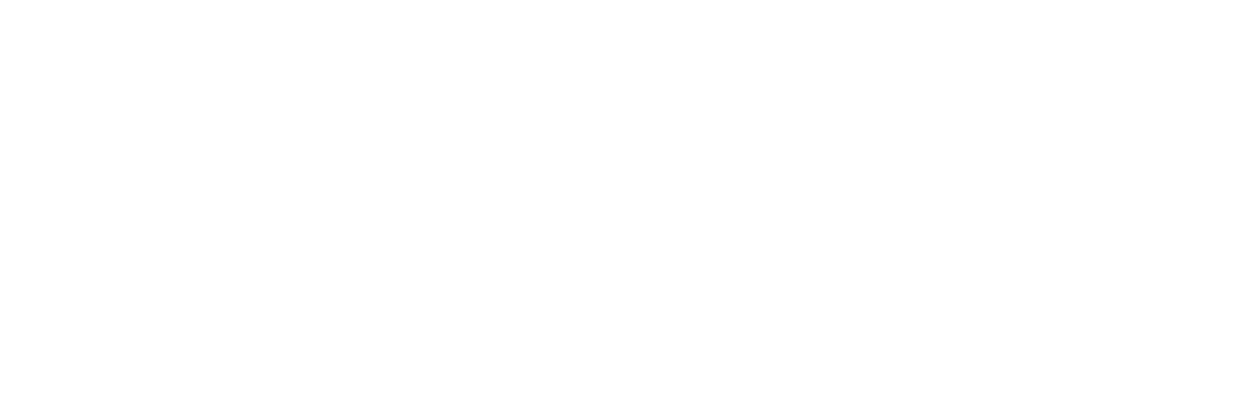 Audionet